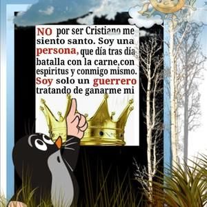 Meet your Posher, Yolanda